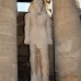 temple_luxor_lux_v_0153_egy3635.jpg